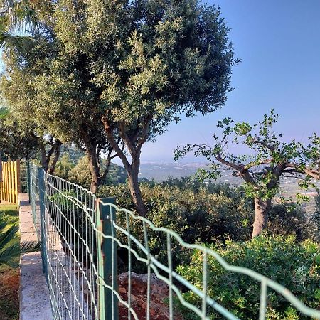 Villa Maremonti モノーポリ エクステリア 写真