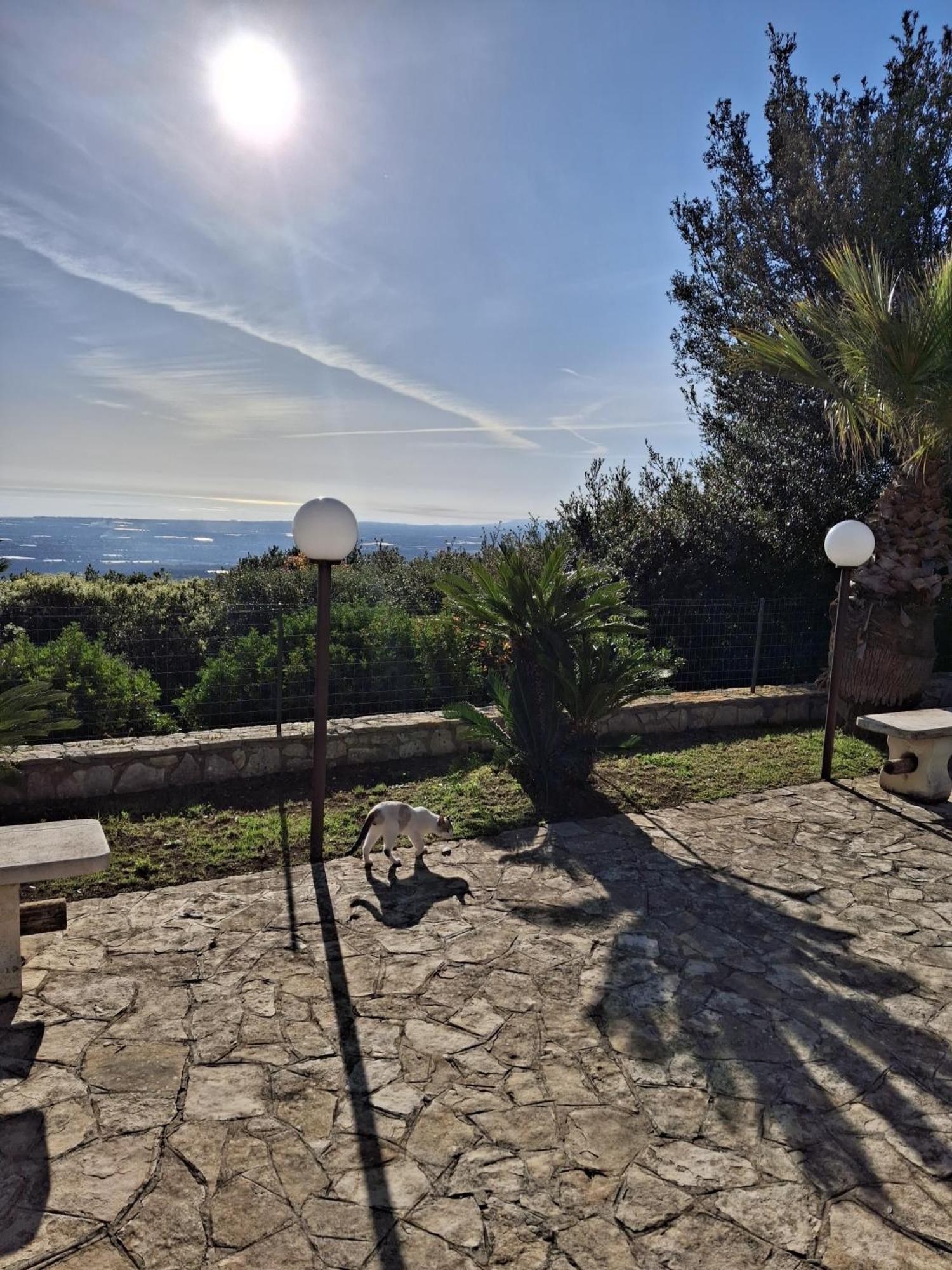 Villa Maremonti モノーポリ エクステリア 写真